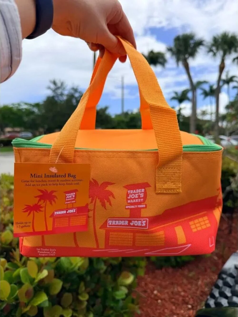 NWT Trader Joe’s Summer 2026 Mini Insulated Bag - Orange with Green Zipper